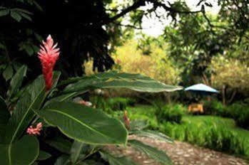 Casa Comalli & Spa Comala Bagian luar foto